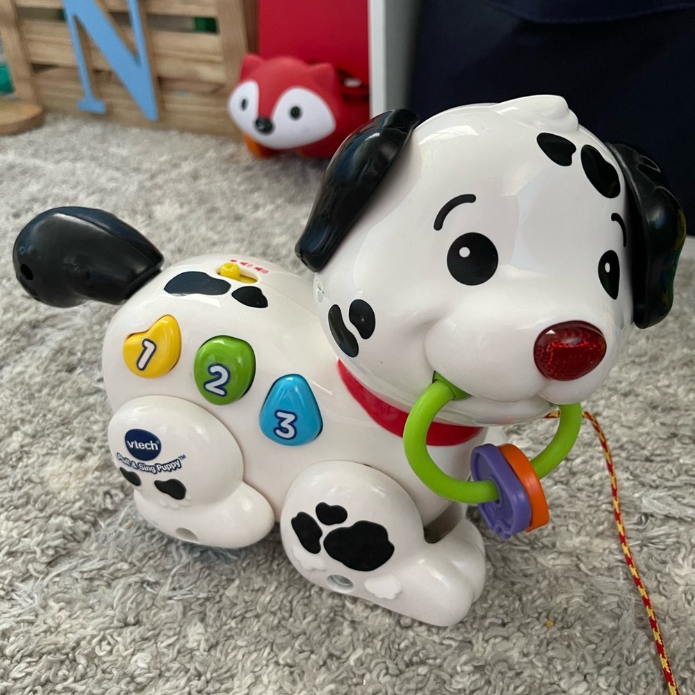 Music Dog